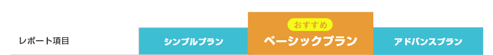 レポート項目　シンプルプラン　おすすめベーシックプラン　アドバンスプラン